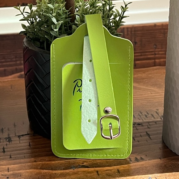 HAND PAINTED Custom Princess and Frog Luggage Tag! NWT - Picture 3 of 6